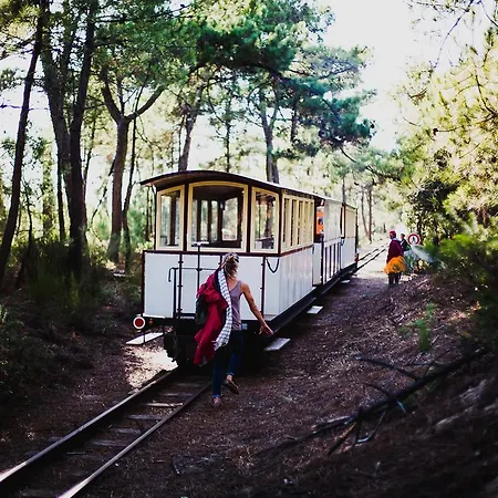 Parad'iles * Dolus d'Oléron