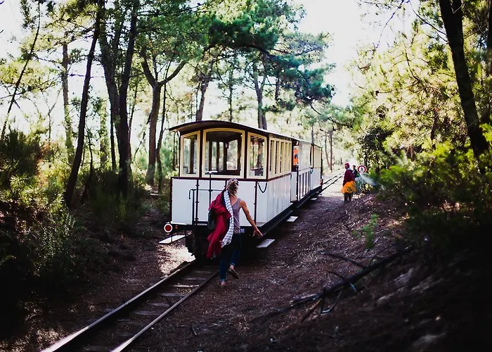 Parad'iles * Dolus d'Oléron